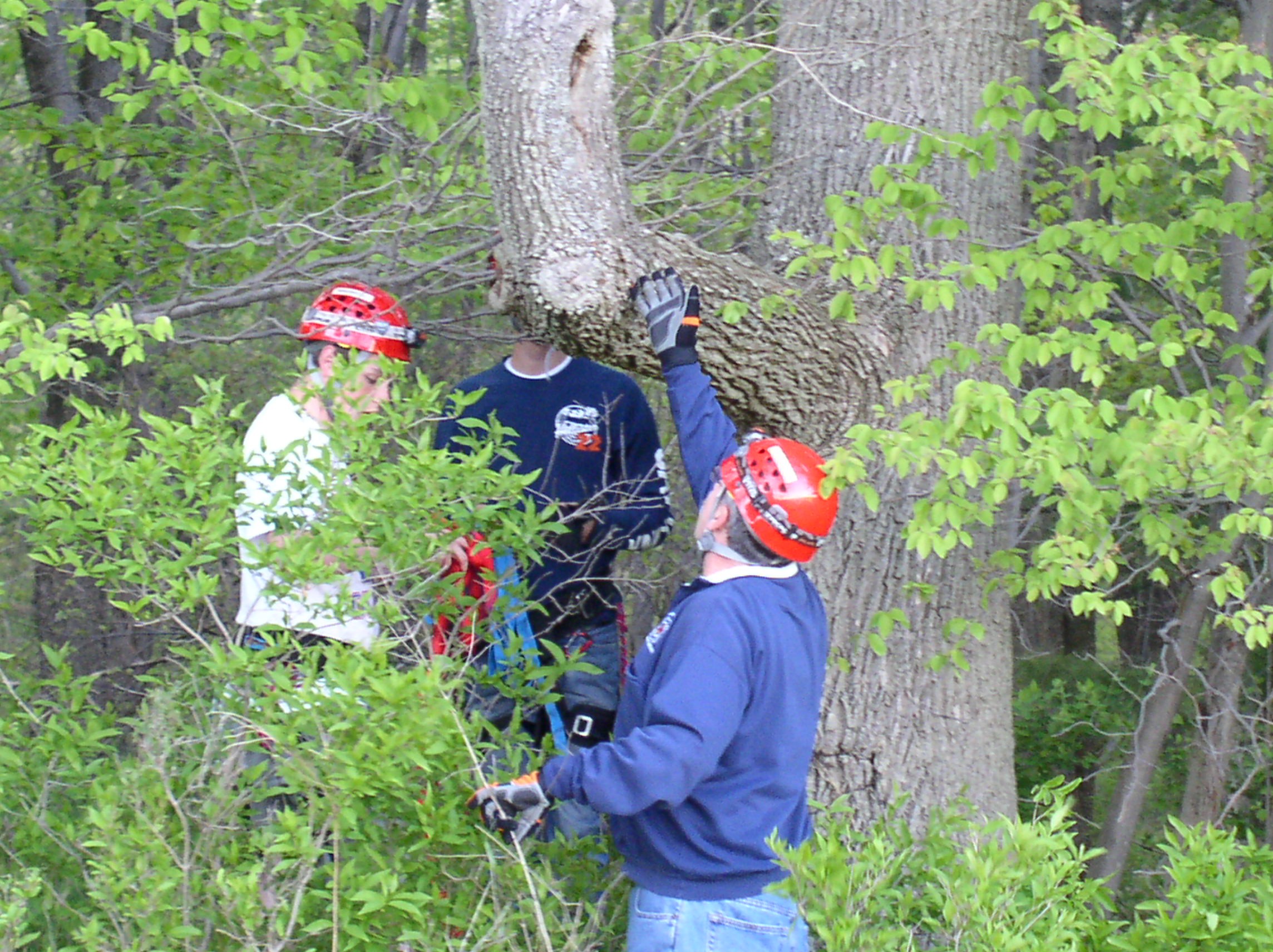 05-18-05  Training - Rope Rescue